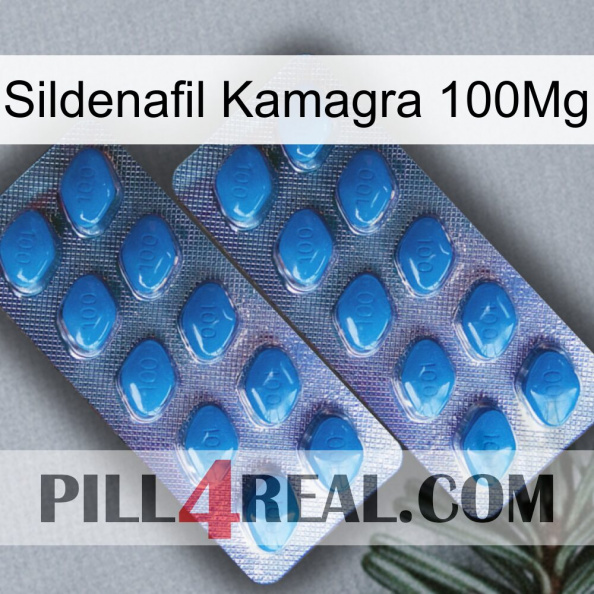 Sildenafil Kamagra 100Mg viagra2.jpg